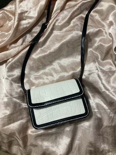 Snake Skin Bag